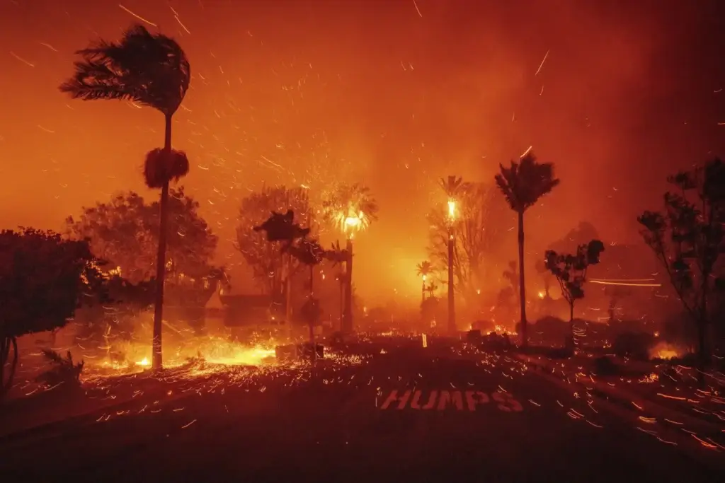 Supporting Our Neighbors in LA During This Heartbreaking Time